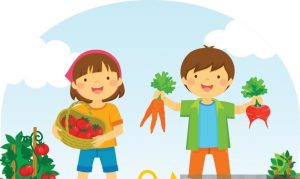 Fotos plantación en el Huerto